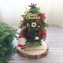 【松果聖誕樹】交換禮物/永生雪松/松果聖誕樹