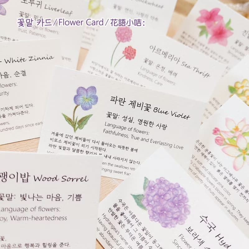 【花語系列】藍色紫蘿蘭耳環 • Truth //925純銀