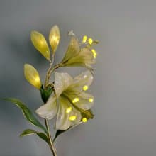 【誕生花燈】7月・百合花。小夜燈。生日禮物