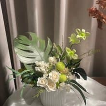 【永生花禮】微光葉語永生龜背葉/開幕花禮/升遷花禮/祝賀花禮