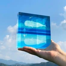 壓克力水晶畫 - 鯨魚的陪伴