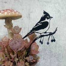 角落小劇場/趣味植栽造型裝飾/幸福鳥日子系列/帥啾/療癒小物