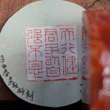 【印鈕篆刻】天行健君子以自強不息