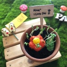 【給媽媽的愛】康乃馨種子球植栽盆栽組