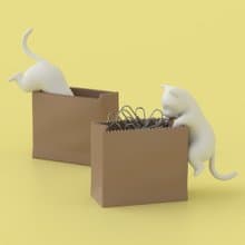 ClipCat 紙袋喵小物收納
