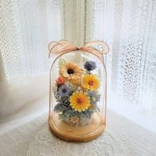 索拉太陽玻璃球罩盅。擺飾。附包裝。禮物。花禮