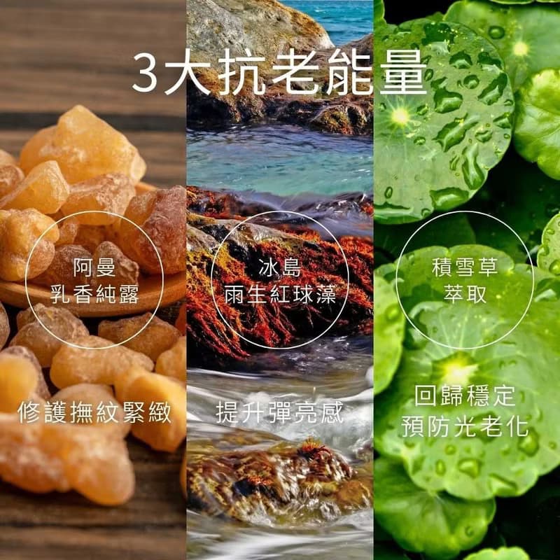 【乳香活膚保濕水3入組】90%純露 抗老緊緻 0酒精濕敷化妝水 噴霧