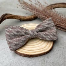 石紋紅領結-河川裡被日陽曬紅的美麗紋路