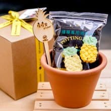 【旺旺鳳梨】Pineapple Grows 鳳梨種子球植栽組