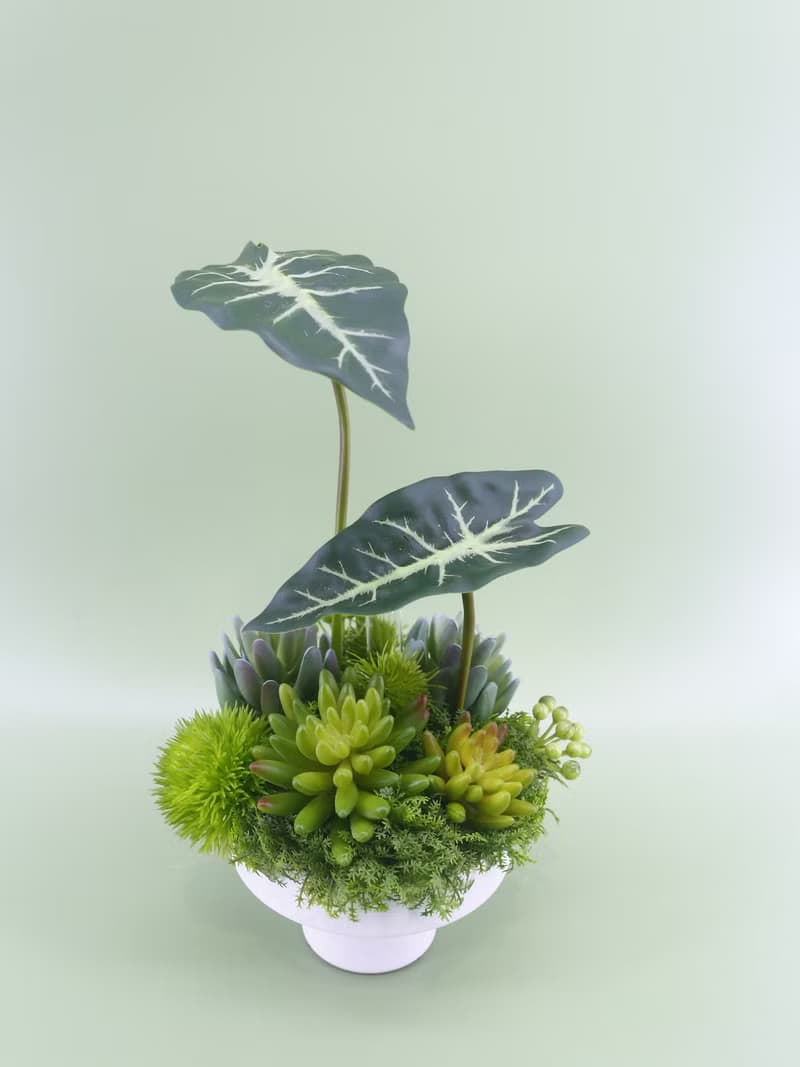 觀音蓮葉多肉香氛植栽/擬真植物/人造盆栽/綠化/佈置