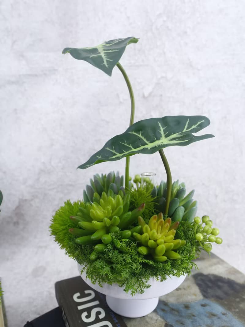 觀音蓮葉多肉香氛植栽/擬真植物/人造盆栽/綠化/佈置