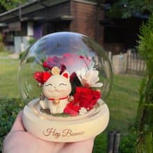 花開富貴 招財貓永生玫瑰玻璃圓球LED花盅