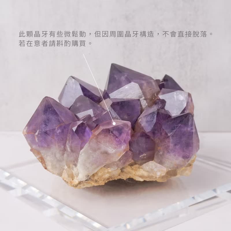剛果紫水晶簇 // 大晶牙 // 智慧 創意 鎮宅化煞 // 贈底座