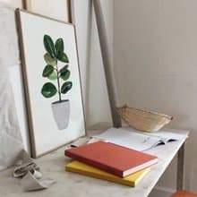 盆栽意趣 – 橡膠樹-畫/植物/餐桌佈置/拍照道具/咖啡廳/客廳