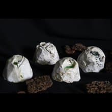 。複合材質 晶體迷你植盆聖木香座紙鎮