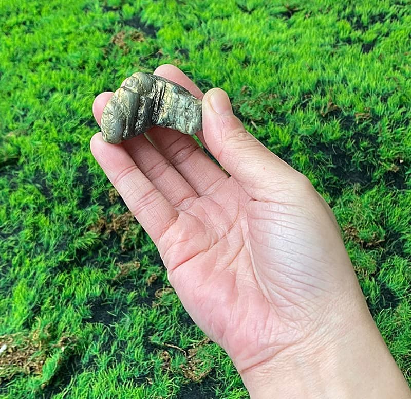 能量擺飾-天然山形黃光拉長石原石 能量 療癒 旺姻緣 財運水晶