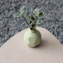 水培植栽│斑葉三角榕_室內植物 磨砂陶瓷幾何花瓶 黃