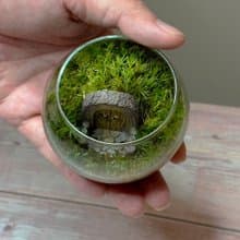 哈比人之家 / 迷你掌上型手工微景觀生態盆