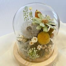 蒲公英玻璃盅  畢業禮物 夜燈  防塵罩 情人節 生日 開幕禮