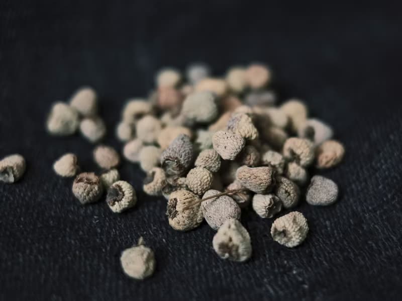 MU  中藥材Blooming系列  覆盆子耳環  925銀