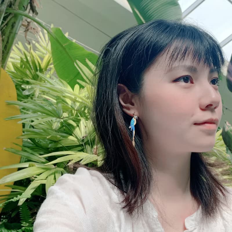 耳環 藍黃金剛鸚鵡 鳥 刺繡 手工 耳夾 禮盒 禮物