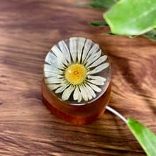 雛菊真花永生花樹脂夜燈