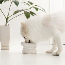 Twisted  pet bowl  ペットボウル　食器スタンド　小型犬　中型犬　ネコ　陶器