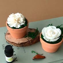 花開了 ∣ 植癒香氛系列