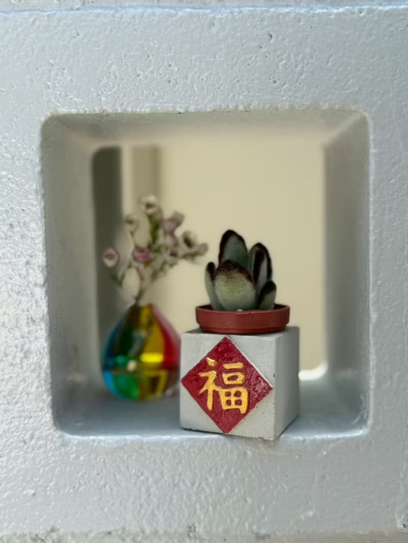 福  紅通通!!新年磁鐵盆栽 送多肉植物