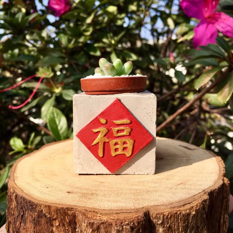 福  紅通通!!新年磁鐵盆栽 送多肉植物