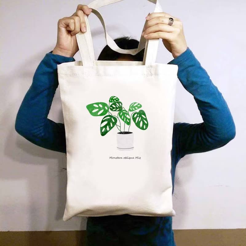 植物 窗孔龜背芋 觀葉植物 帆布袋