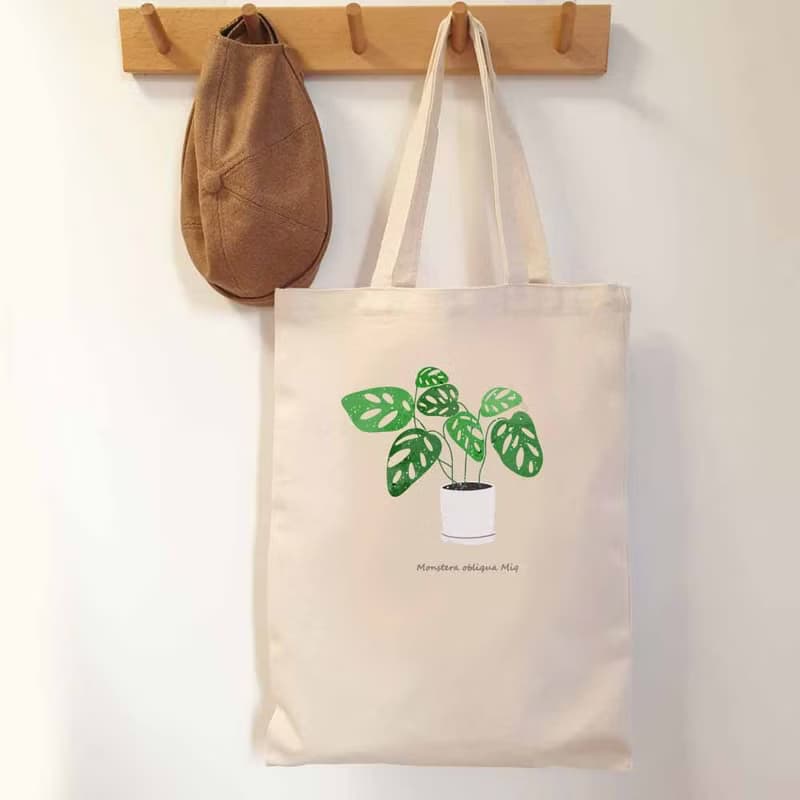 植物 窗孔龜背芋 觀葉植物 帆布袋