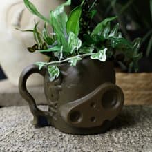 自由蔓生 綠植 天空之城機器人兵 盆栽 桌花