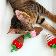 毛線編織貓草玩具 貓咪玩具 貓薄荷 巧克力草莓