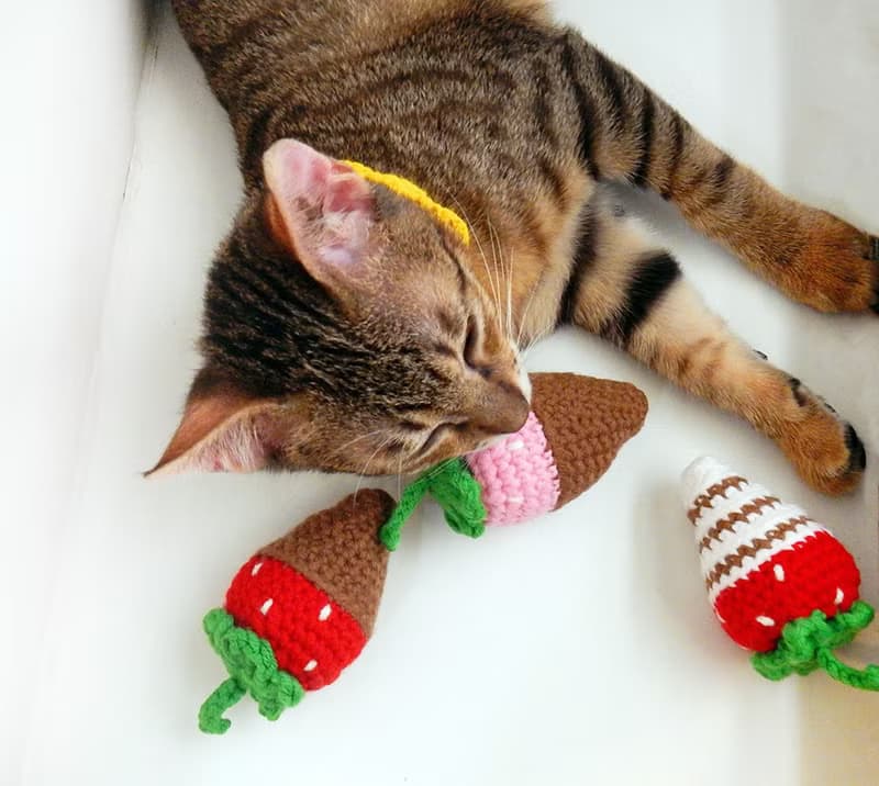 毛線編織貓草玩具 貓咪玩具 貓薄荷 巧克力草莓