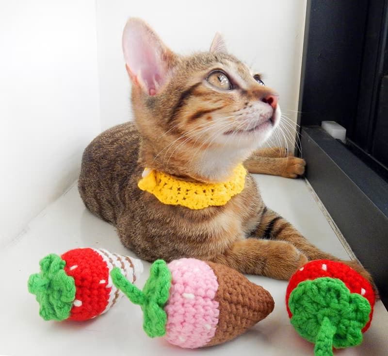 毛線編織貓草玩具 貓咪玩具 貓薄荷 巧克力草莓