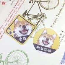 柴犬-防水車貼-狗奴認證-不要看我看路_防水貼紙