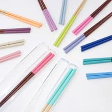 Colors Chopsticks 23cm and Clear Chopsticks Case 24cm Set Gift Japan Rainbow