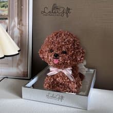永生花 / 貴婦犬 / 永生花公仔