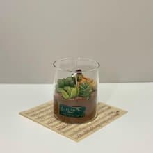FLOW AROMA 心流香薰 | 多肉杯 | 香氛蠟燭