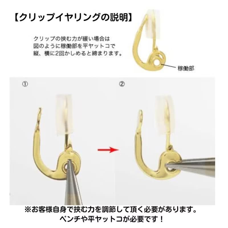 Swarovskiドロップショート　SDS-19　ピアス/イヤリング