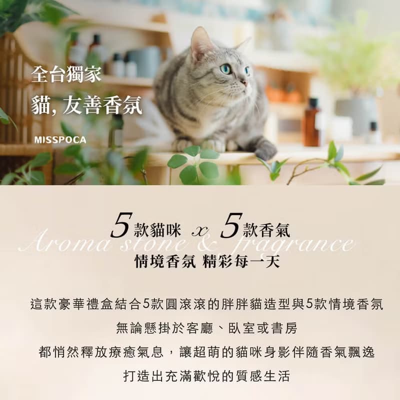 【免運 x 貓友善香氛】胖胖貓擴香10件豪華禮盒 寵物友善精油噴霧