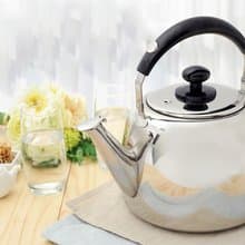 【Buffalo 牛頭牌】 小牛百福樂笛音壺3.0L