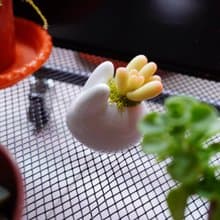 間諜多肉植物兔兔盆【黏土手作影片+材料包】