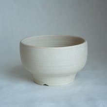 盆器 陶器 植物