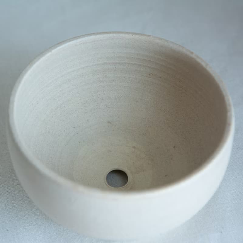 盆器 陶器 植物