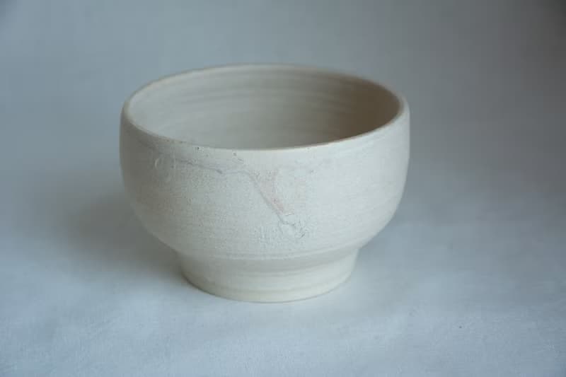 盆器 陶器 植物