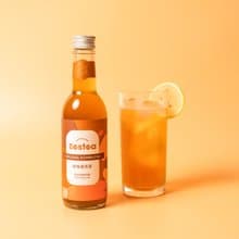 Zestea原味康普茶 300ML*12瓶 (無添加、富含益生菌)