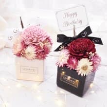 英式香氣盆花 乾燥花 送禮 結婚 情人節 七夕 聖誕節 開幕盆花教
