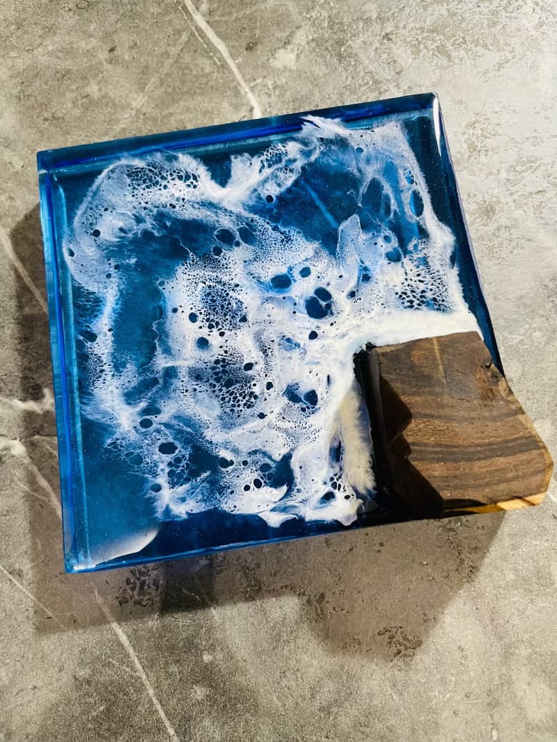 黑柿木小島清澈海洋